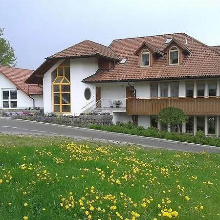 Dzt-schwarzwaldhotel Garni Hotel 2*