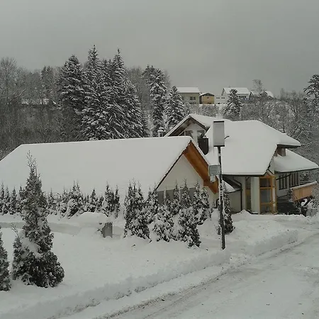 Dzt-schwarzwaldhotel Garni 2* Unterkirnach